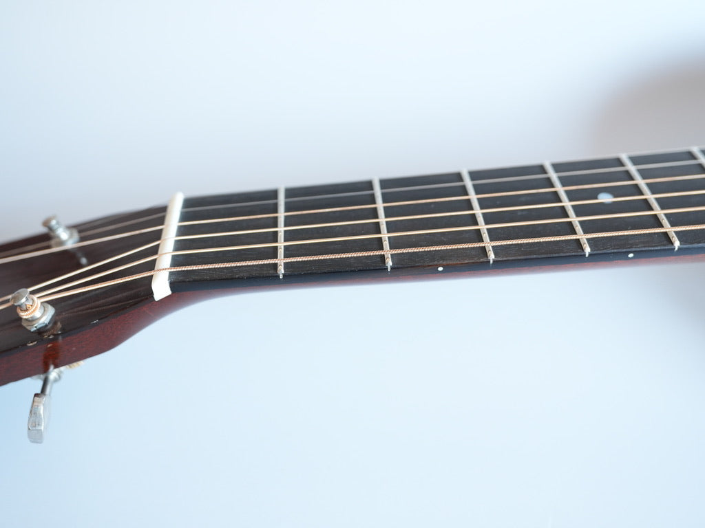 SEAGULL by M.Shiozaki 0-50 1937 AGED TA/ A01 2023年製
