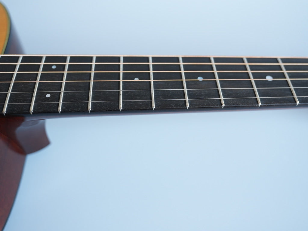 SEAGULL by M.Shiozaki 0-50 1937 AGED TA/ A01 2023年製
