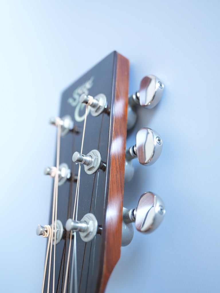 Santa Cruz Model D/E 1999年製