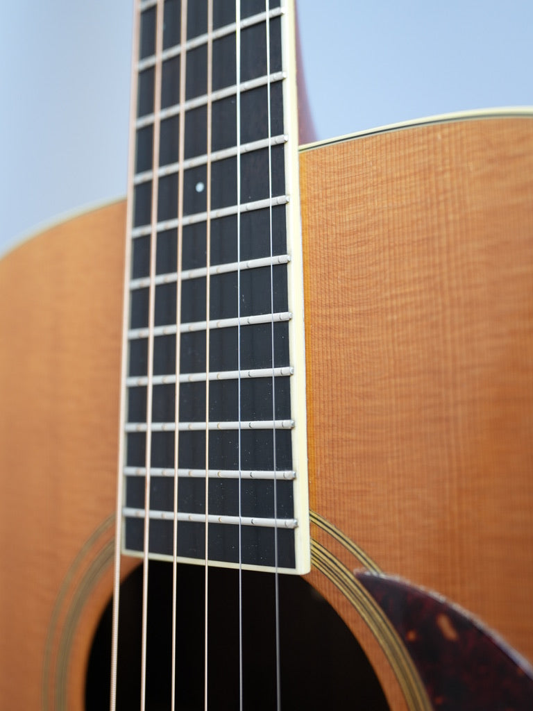 Santa Cruz Model D/E 1999年製