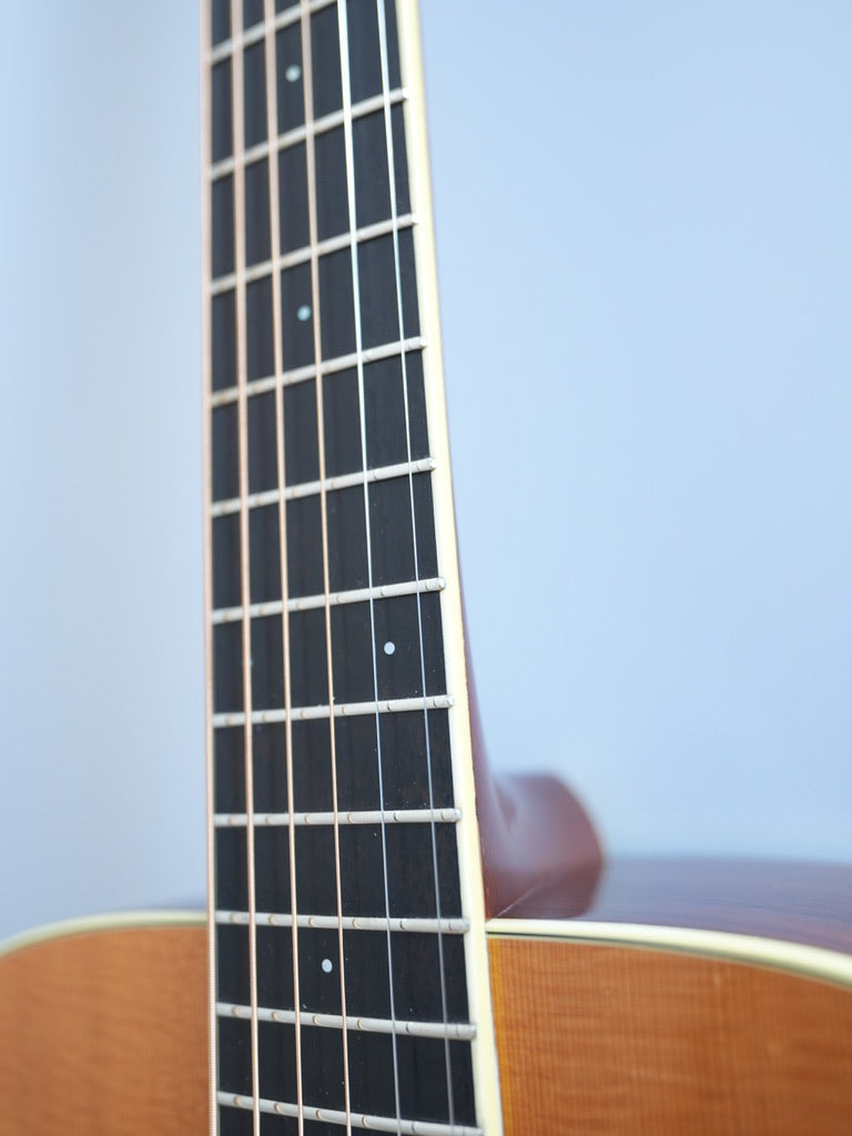 Santa Cruz Model D/E 1999年製