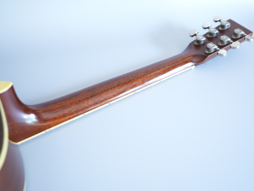 Santa Cruz Model D/E 1999年製