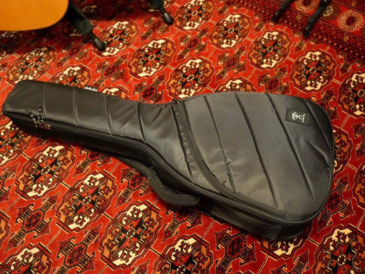 aNueNue aNN-M60E 2025年製(新品)