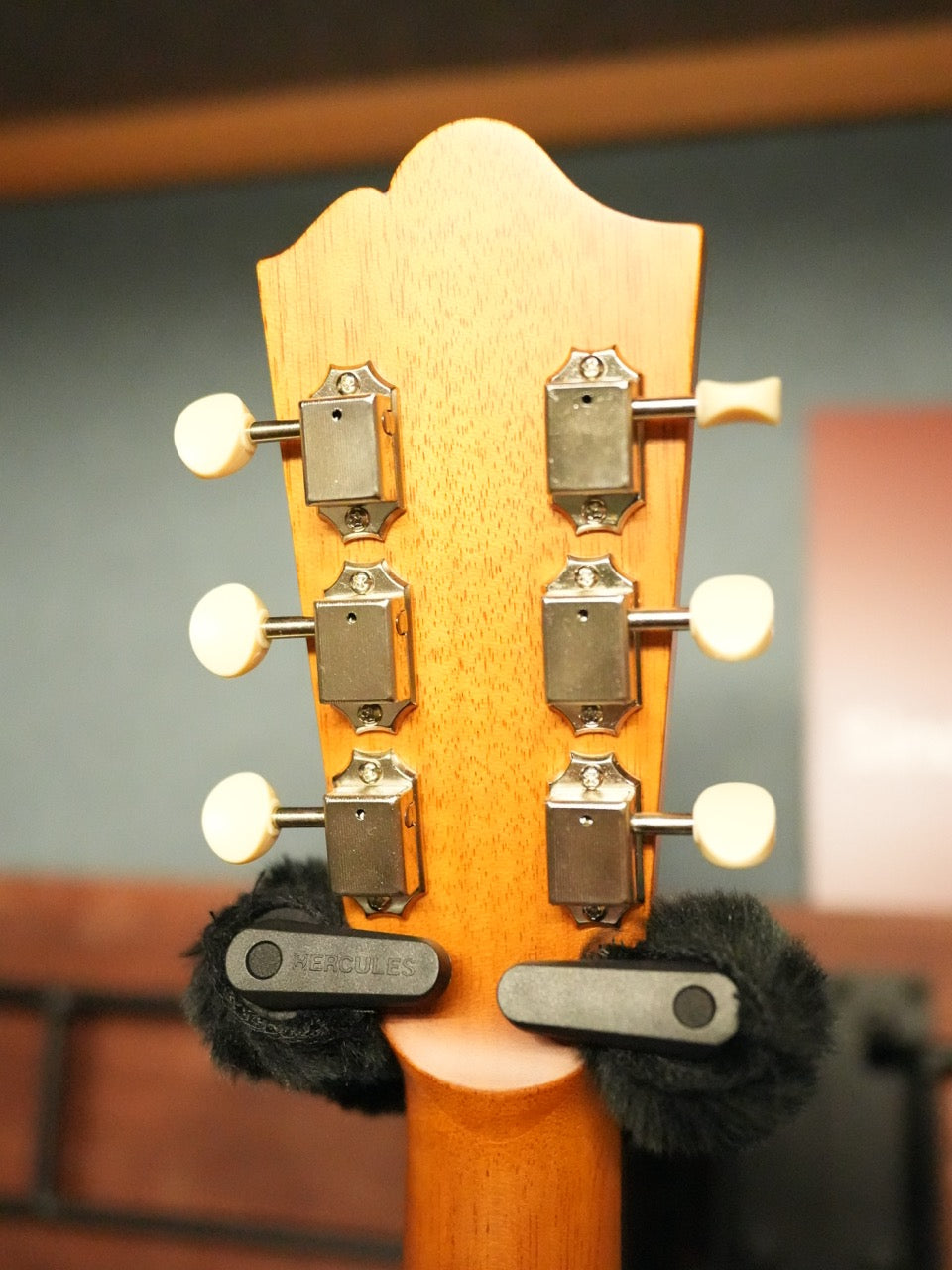 aNueNue Singer Imagine D01 2025年製(新品)