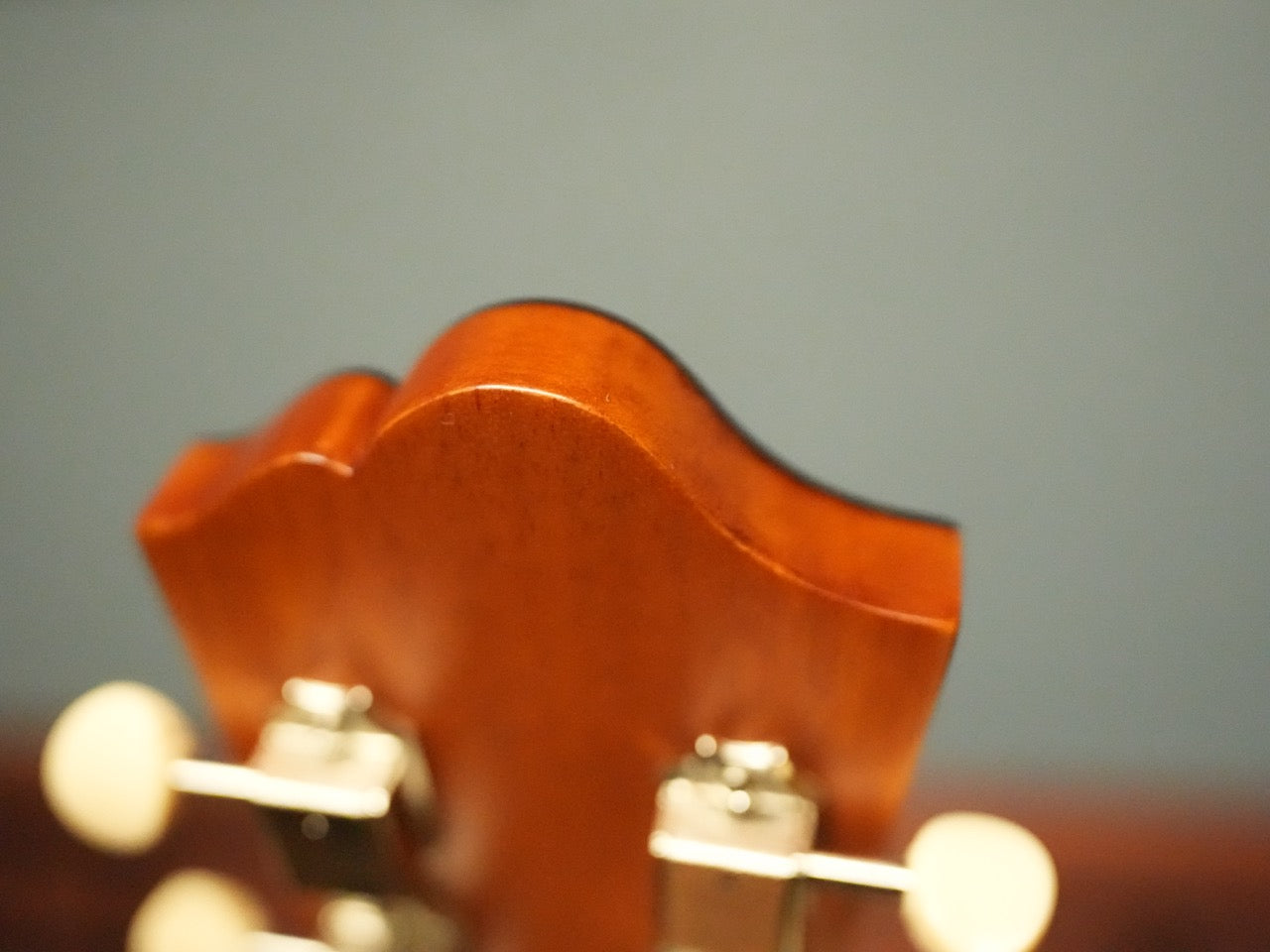 aNueNue Singer Imagine D01 2025年製(新品)