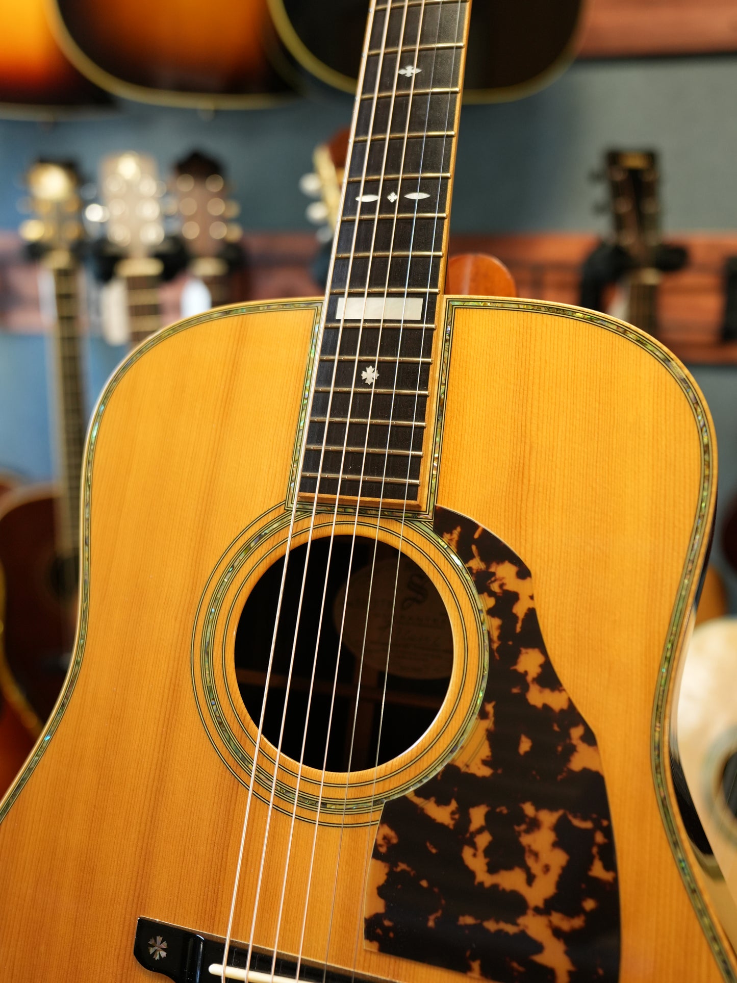 Shelly(鷲見英一)SS-D70 Brazilian Rosewood