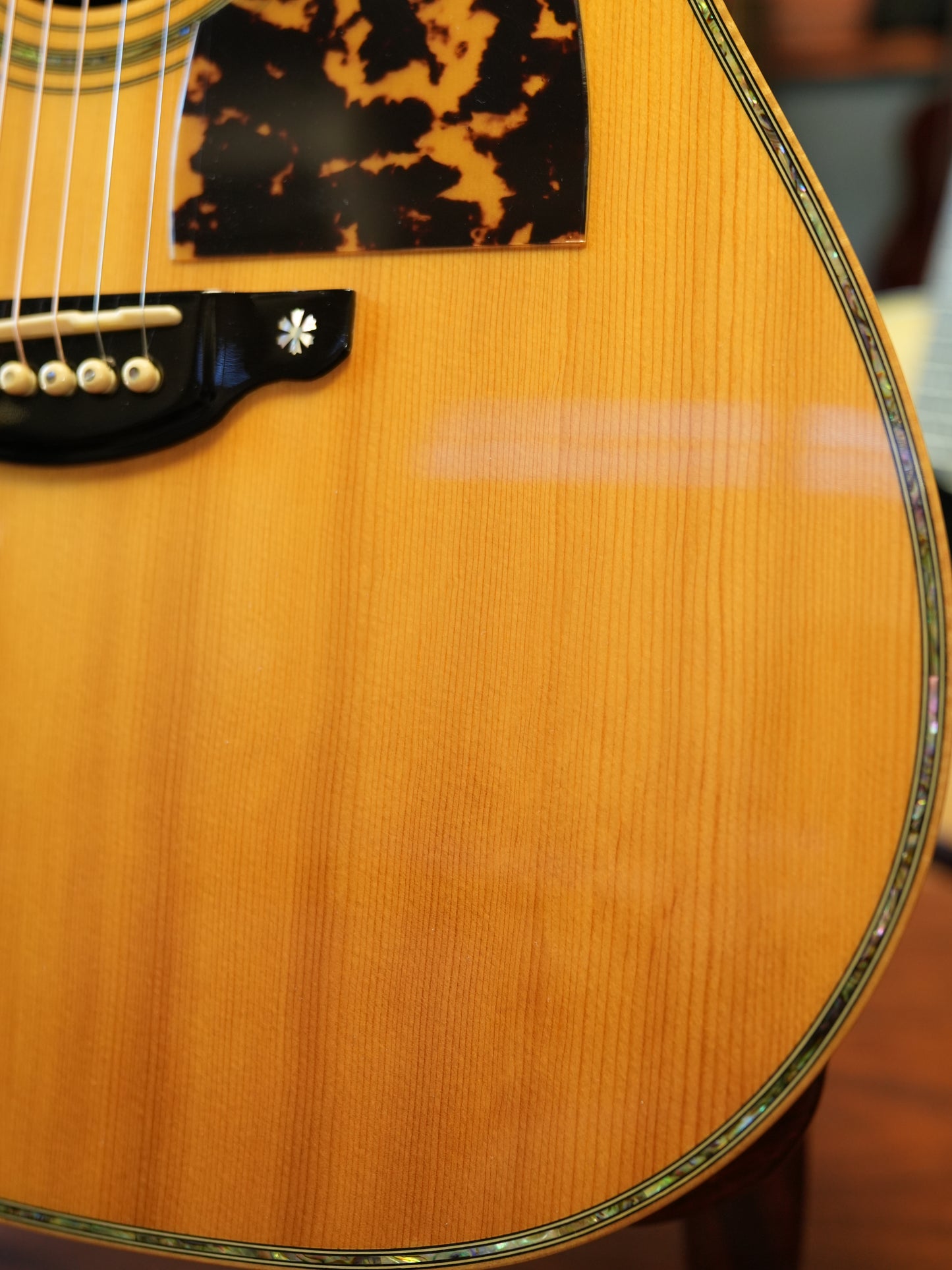Shelly(鷲見英一)SS-D70 Brazilian Rosewood