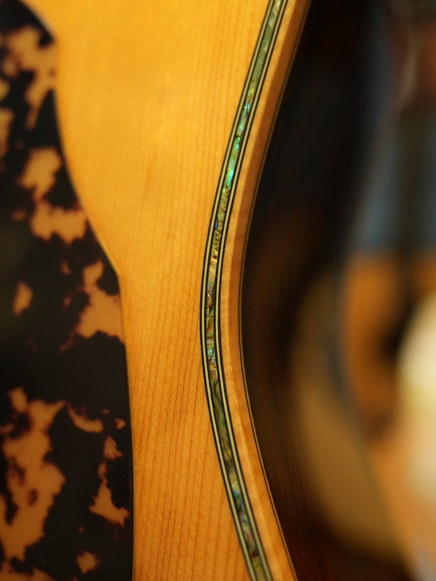 Shelly(鷲見英一)SS-D70 Brazilian Rosewood
