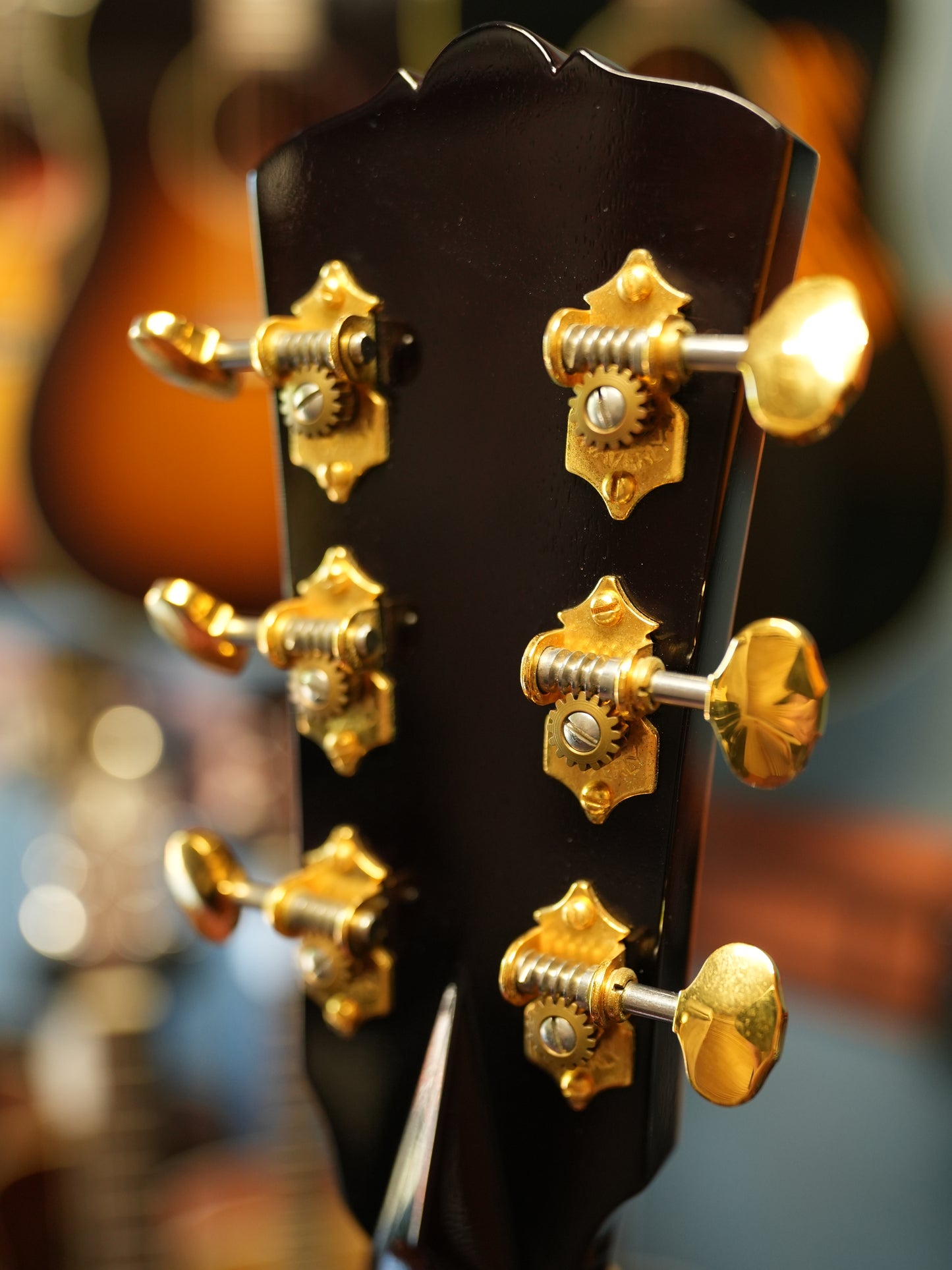 Shelly(鷲見英一)SS-D70 Brazilian Rosewood