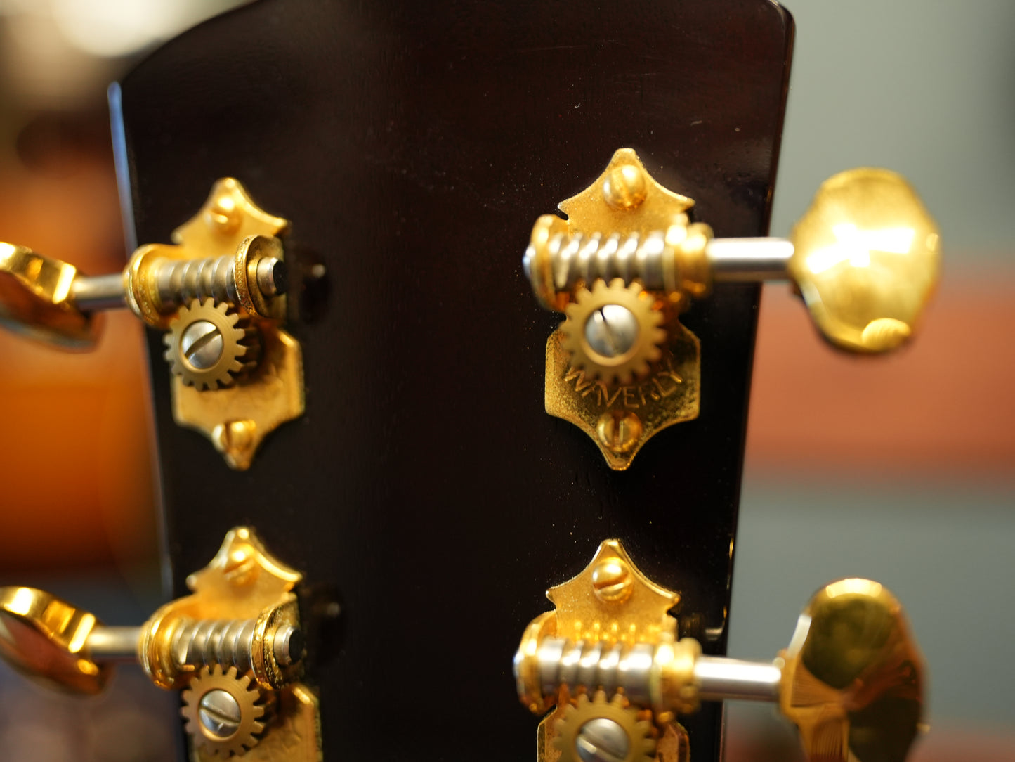 Shelly(鷲見英一)SS-D70 Brazilian Rosewood