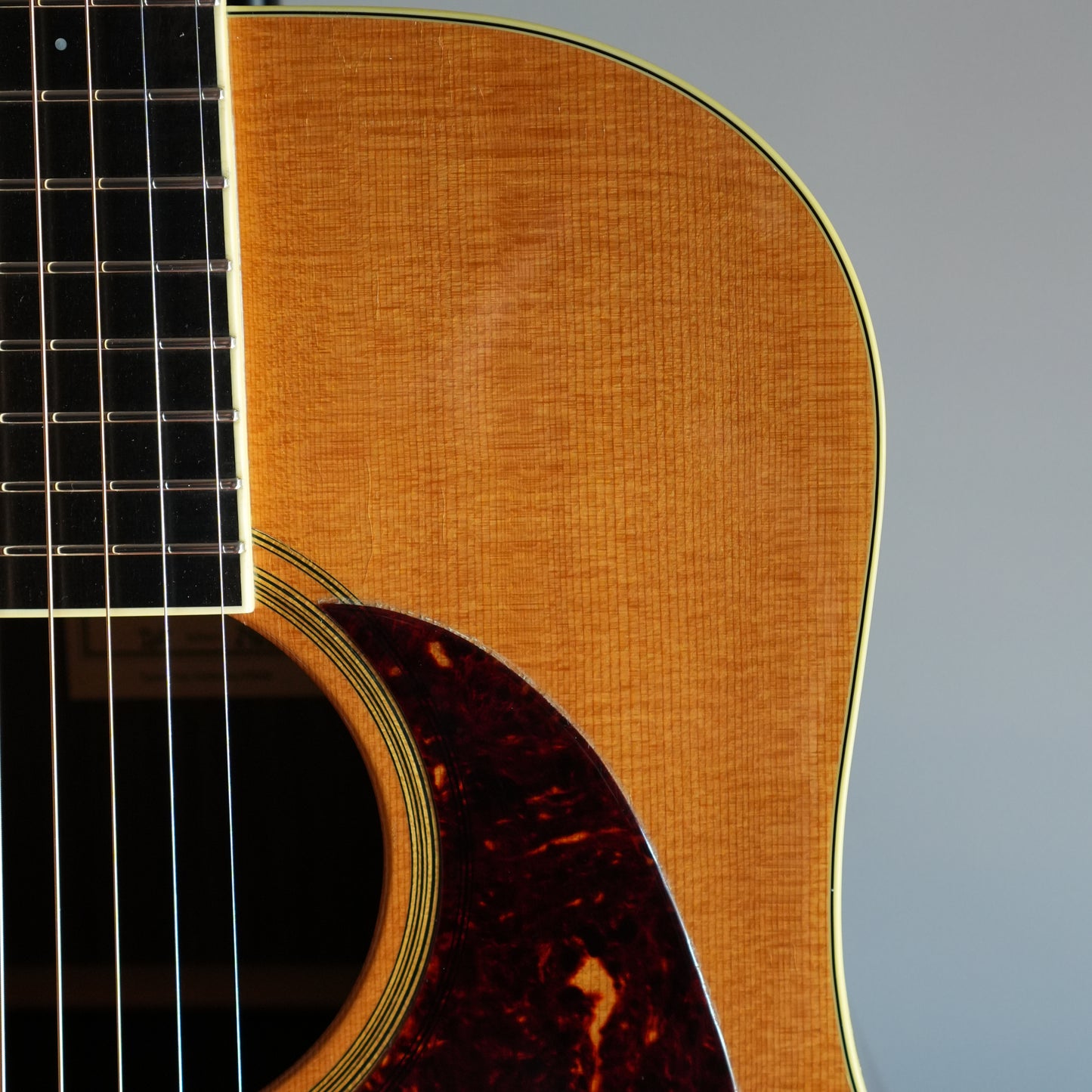 Santa Cruz Model D/E 1999年製