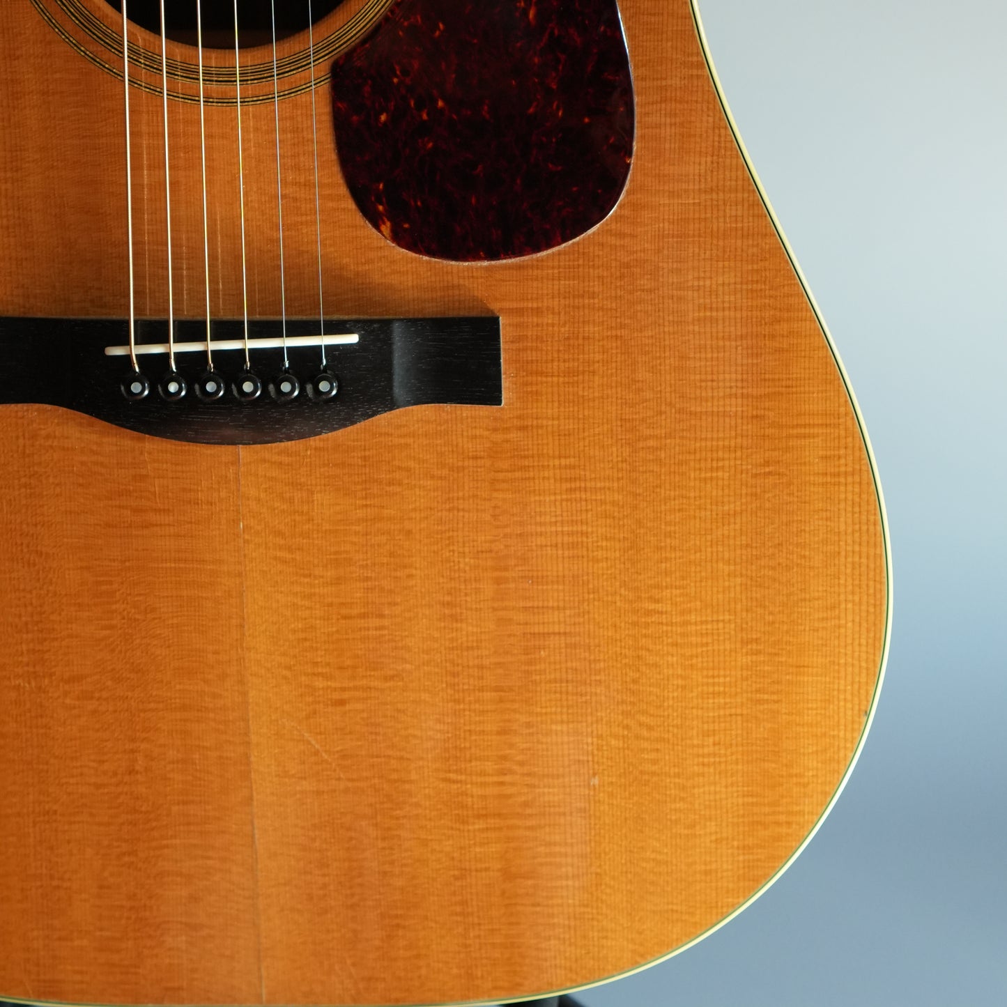 Santa Cruz Model D/E 1999年製