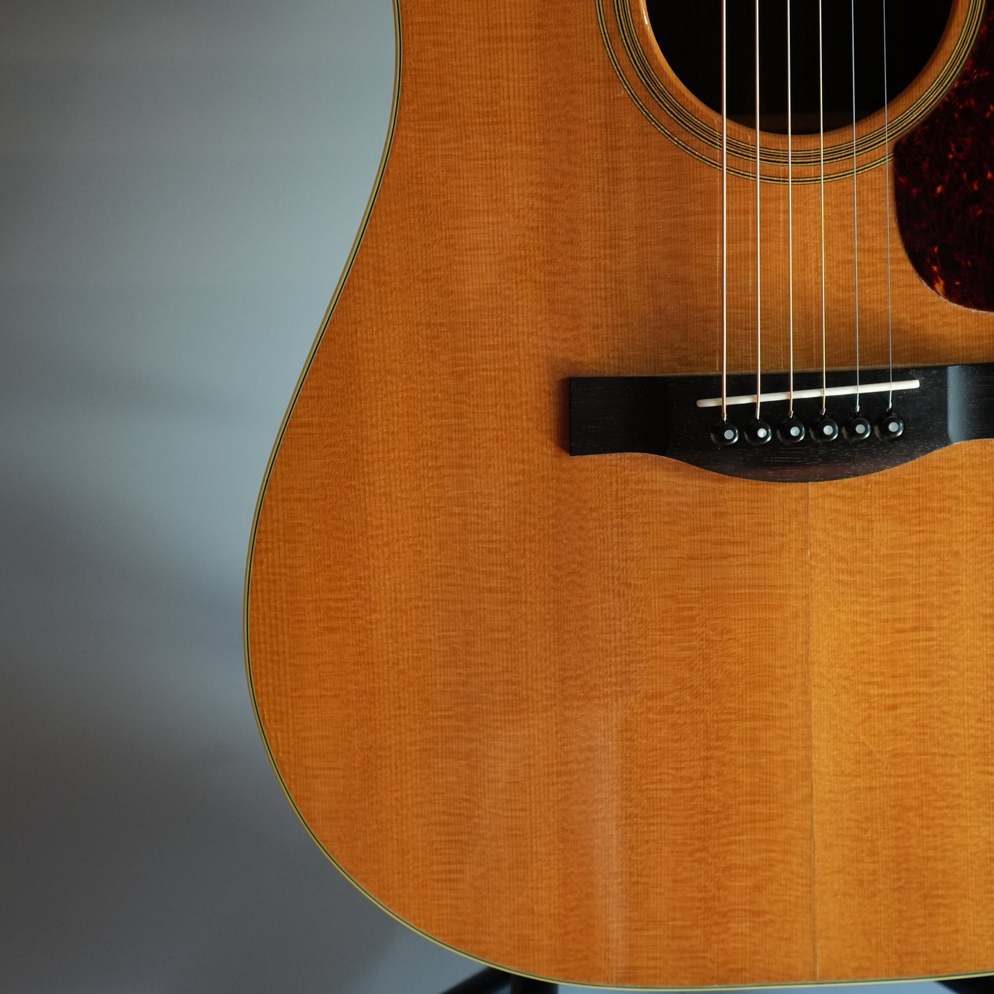 Santa Cruz Model D/E 1999年製