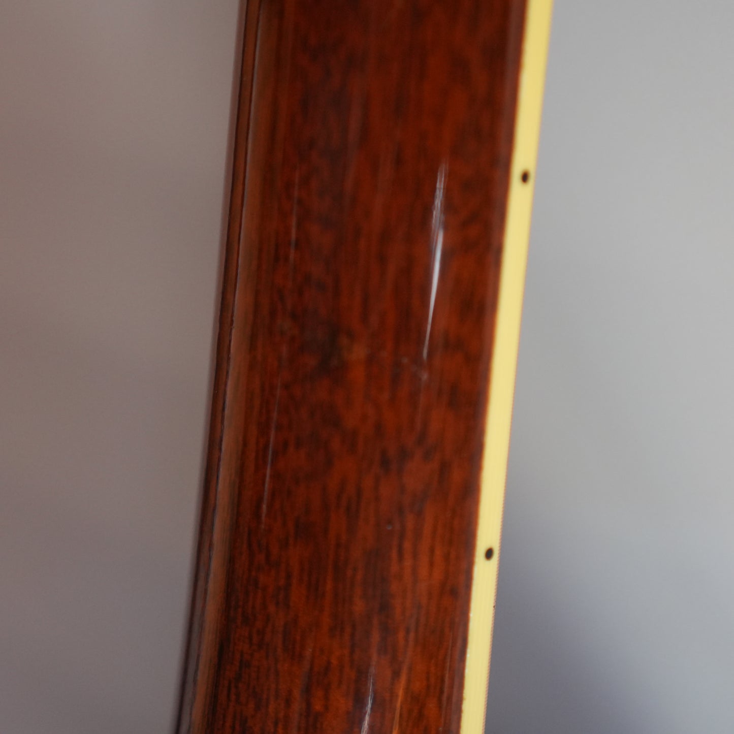Santa Cruz Model D/E 1999年製