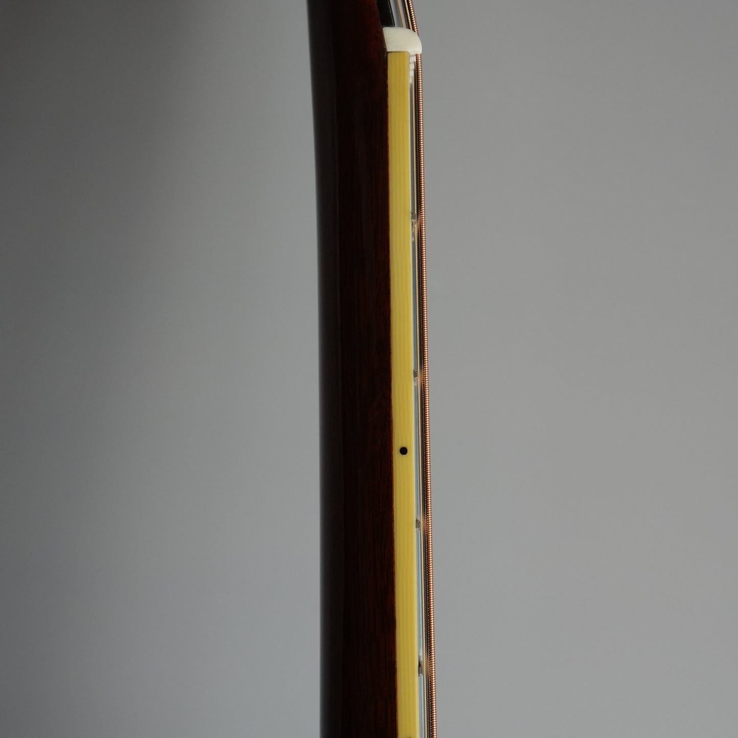 Santa Cruz Model D/E 1999年製