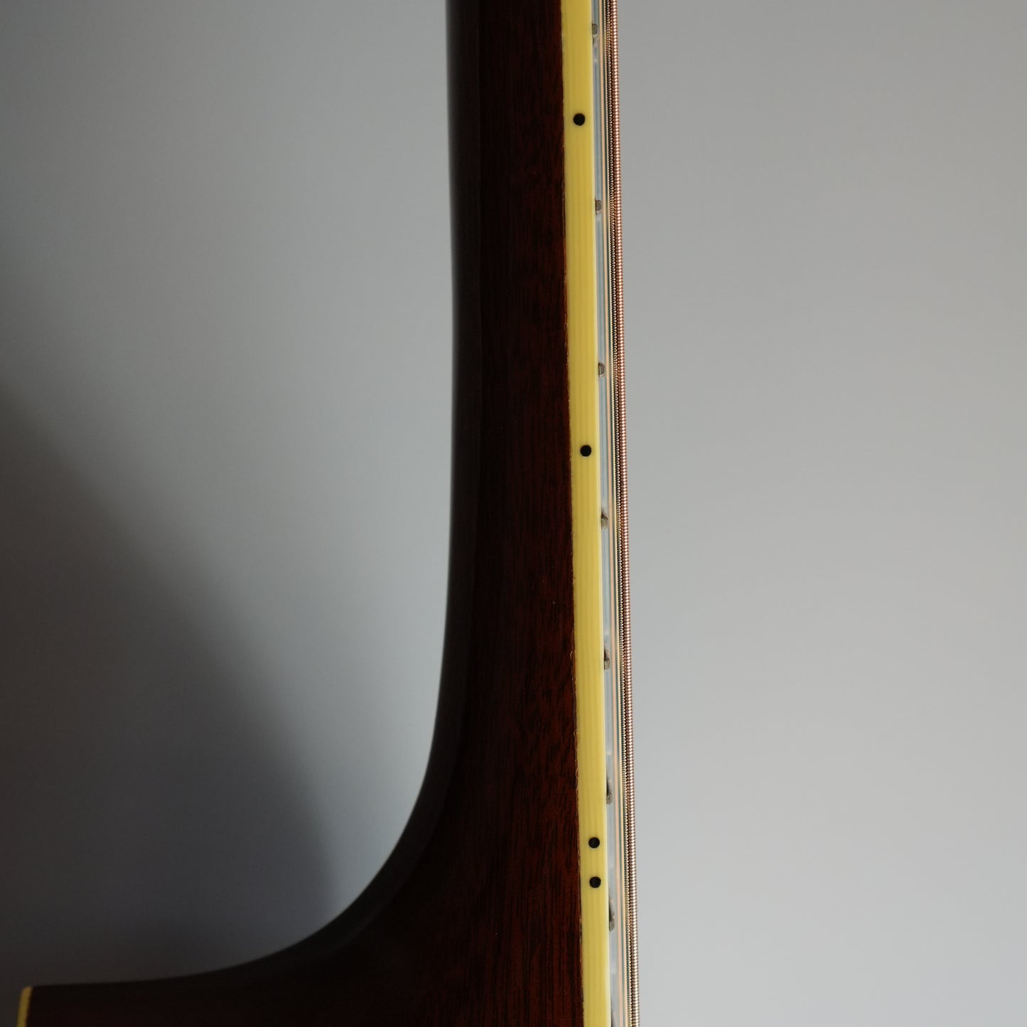 Santa Cruz Model D/E 1999年製
