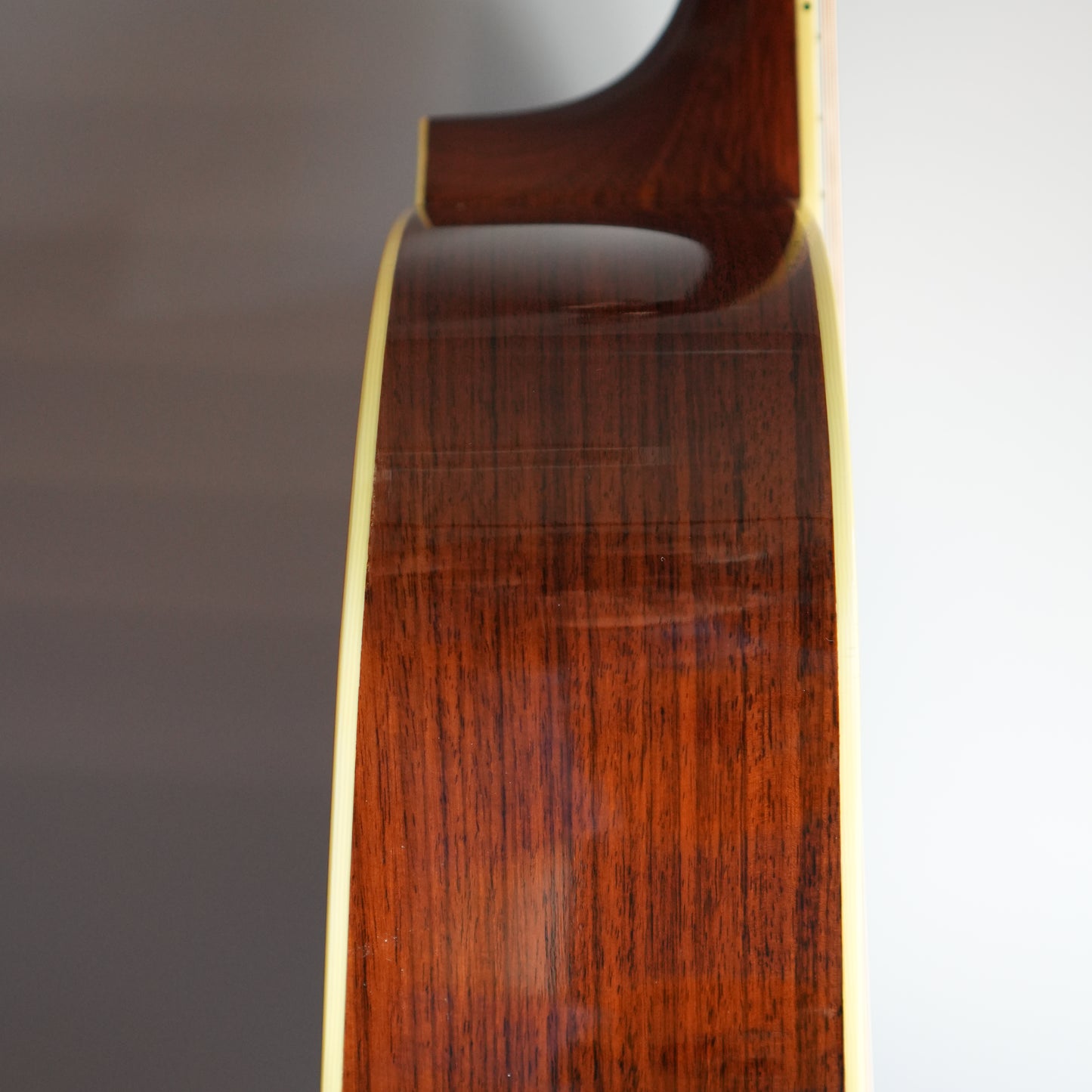 Santa Cruz Model D/E 1999年製