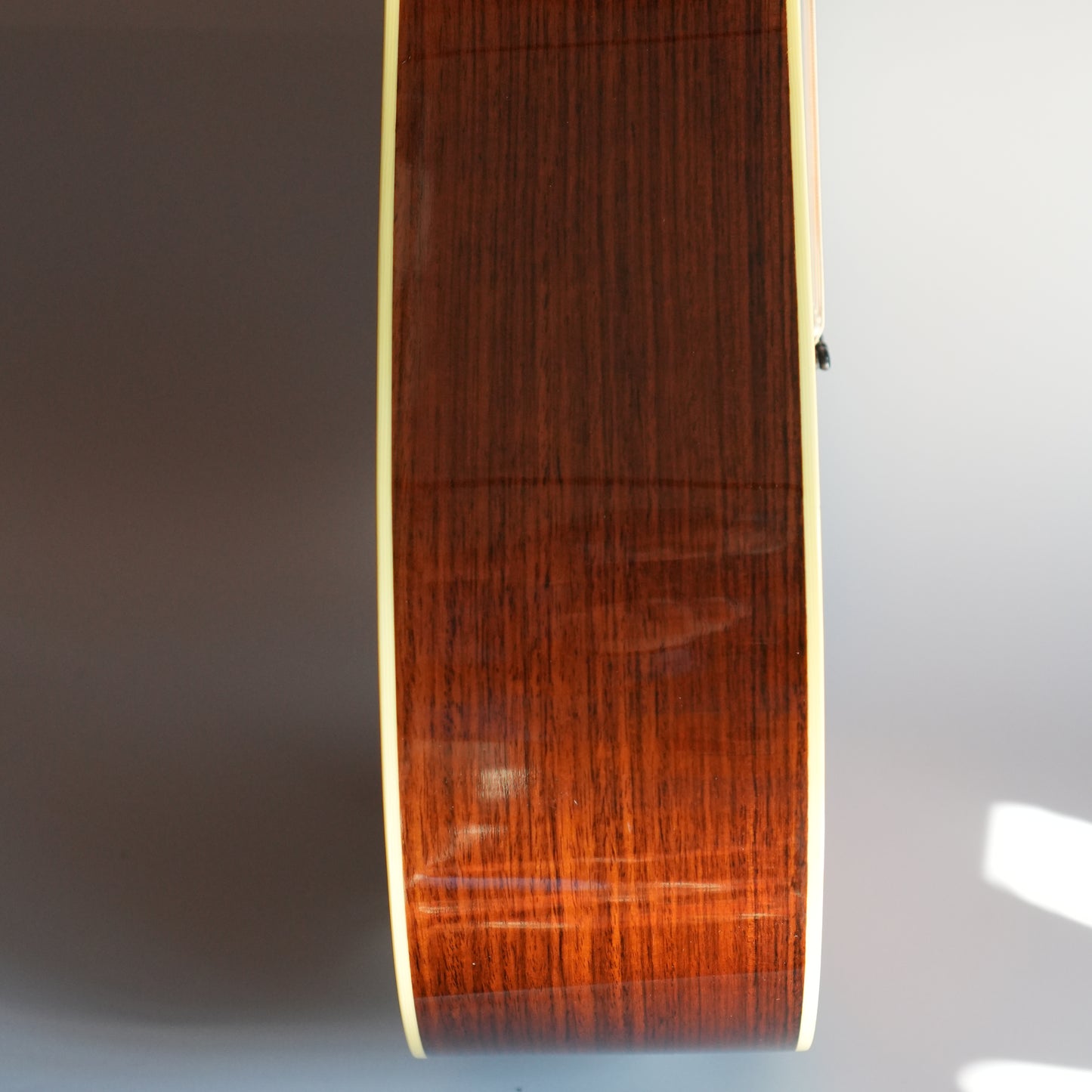 Santa Cruz Model D/E 1999年製