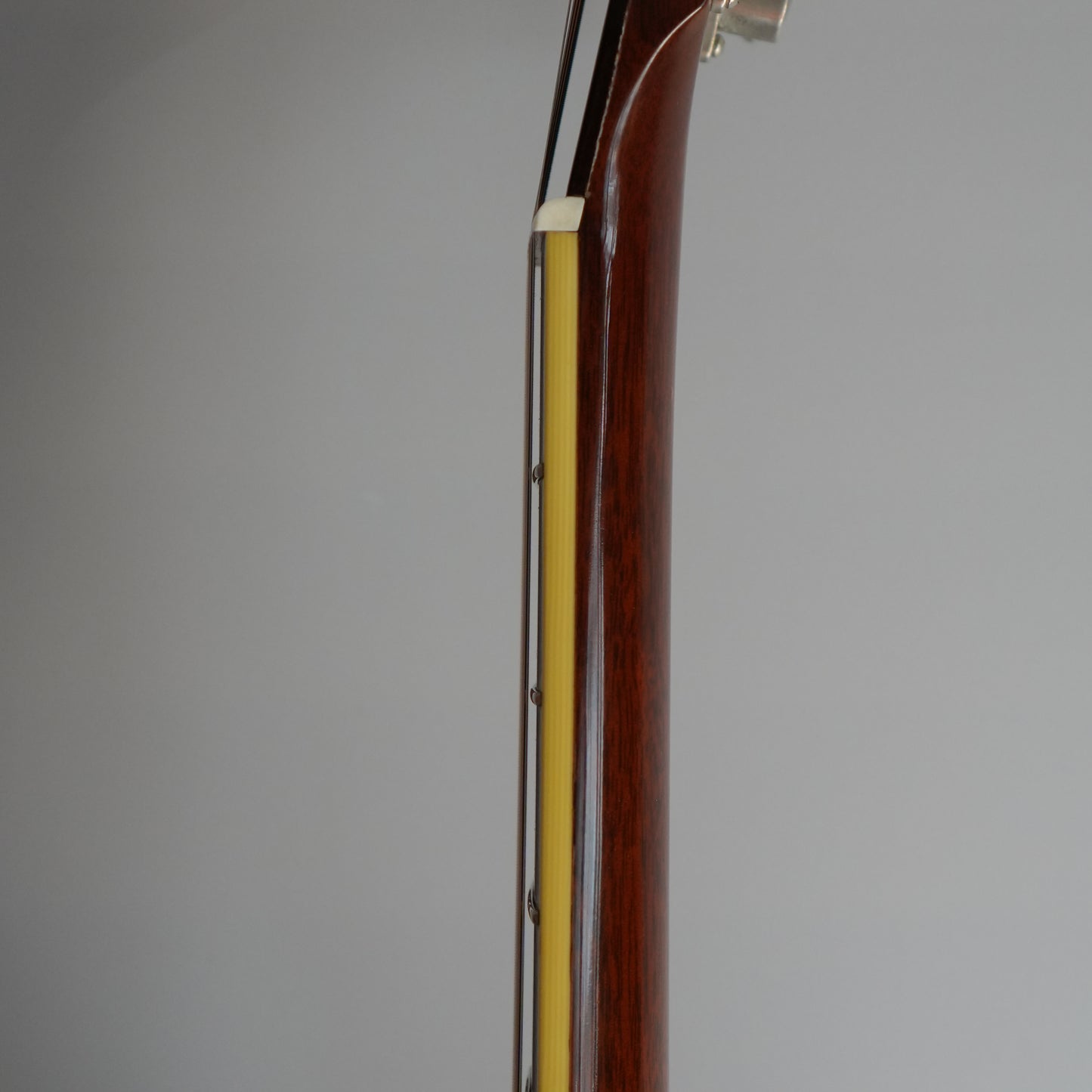 Santa Cruz Model D/E 1999年製