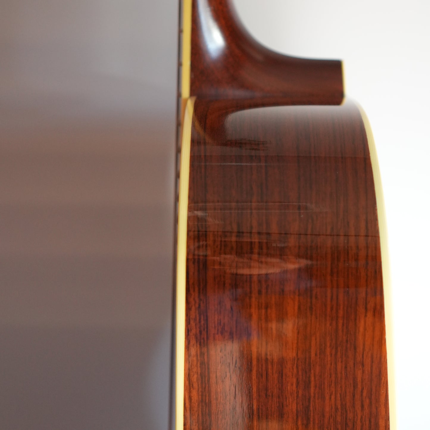 Santa Cruz Model D/E 1999年製