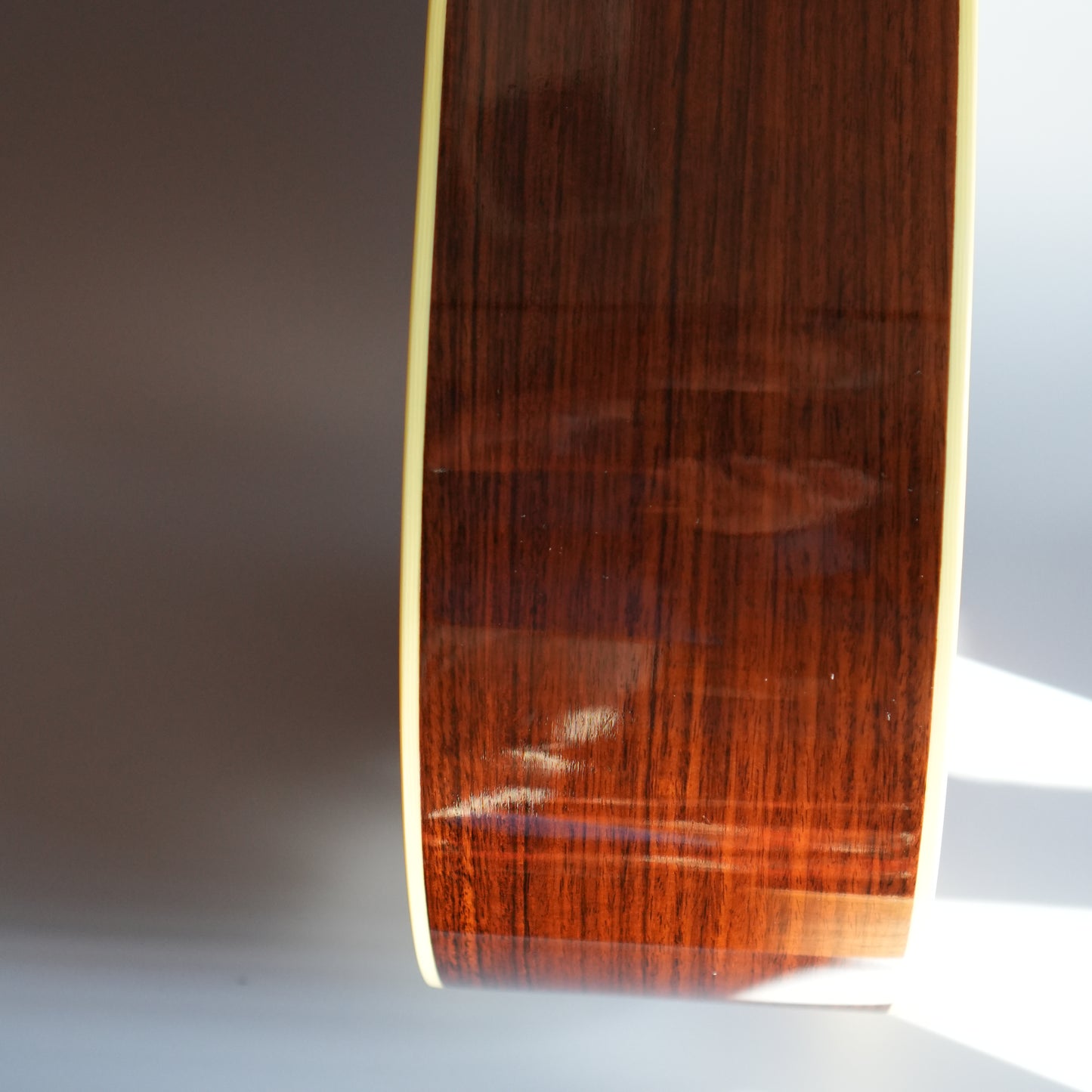 Santa Cruz Model D/E 1999年製