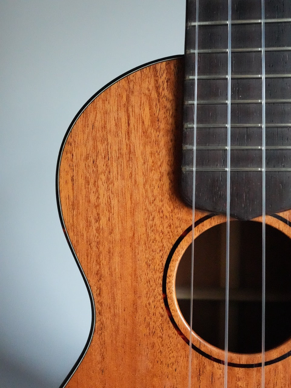 Sakata Guitars UC-1C ウクレレ コンサート キューバンマホガニー #20【NEW】