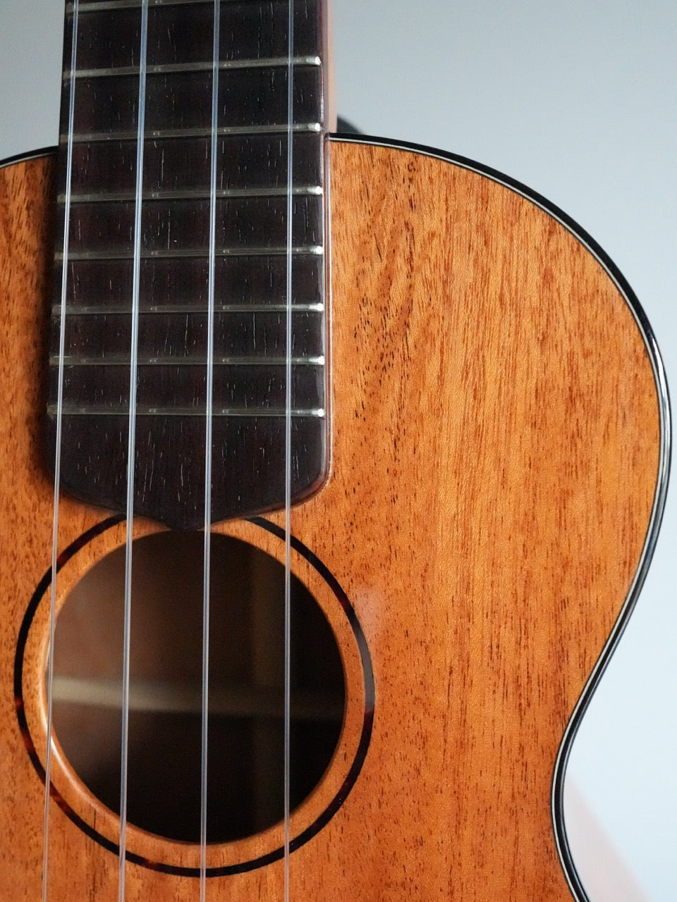 Sakata Guitars UC-1C ウクレレ コンサート キューバンマホガニー #20【NEW】
