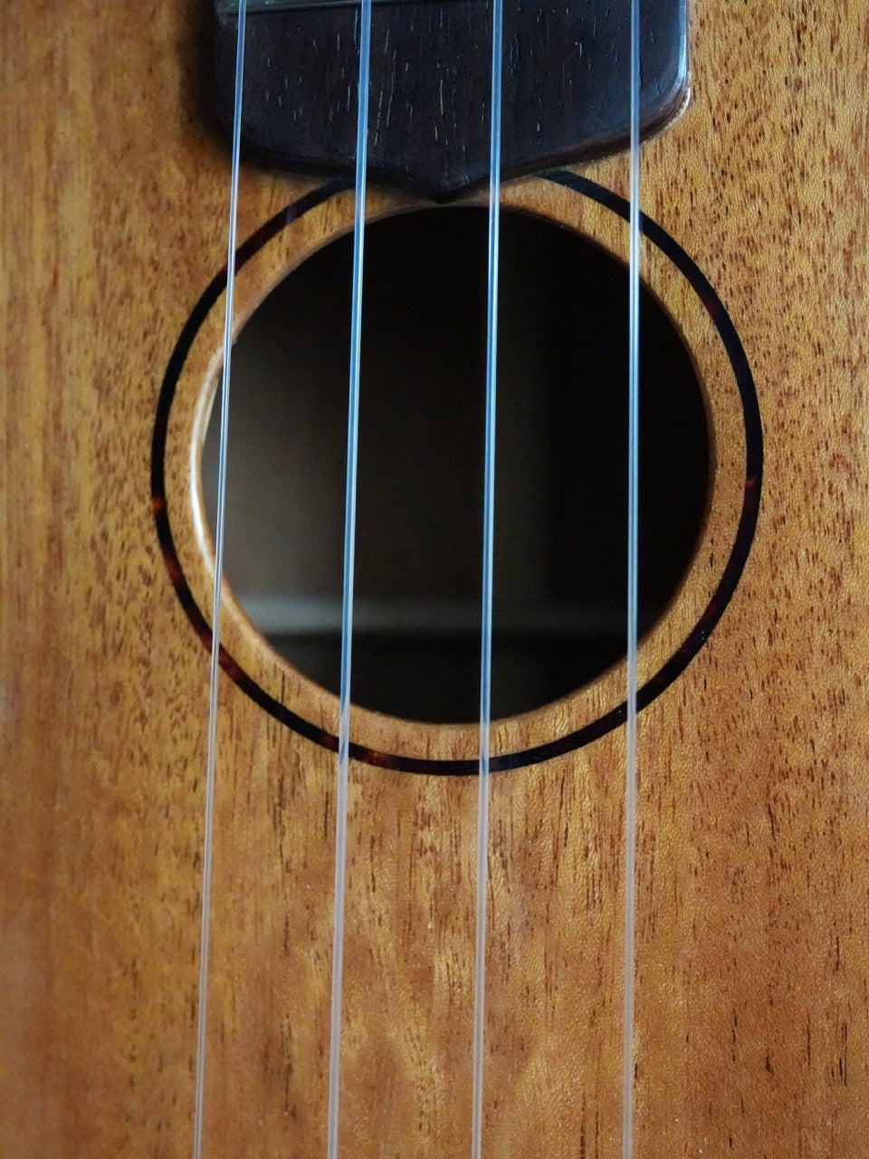 Sakata Guitars UC-1C ウクレレ コンサート キューバンマホガニー #20【NEW】
