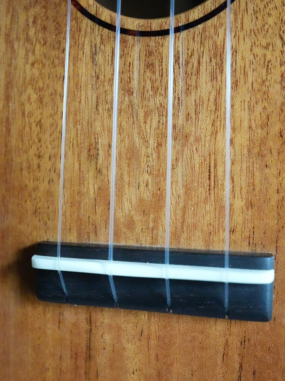 Sakata Guitars UC-1C ウクレレ コンサート キューバンマホガニー #20【NEW】