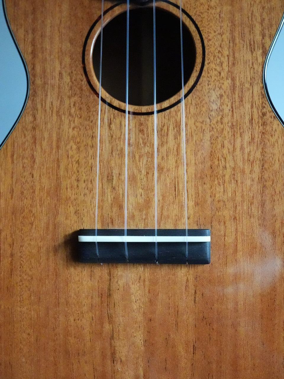 Sakata Guitars UC-1C ウクレレ コンサート キューバンマホガニー #20【NEW】