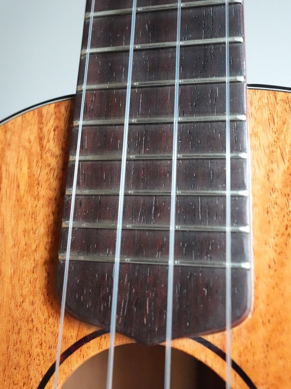 Sakata Guitars UC-1C ウクレレ コンサート キューバンマホガニー #20【NEW】