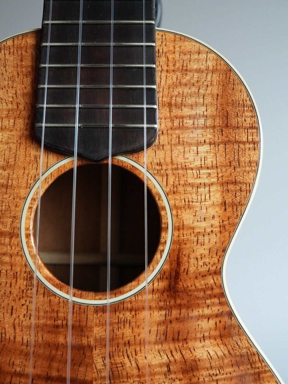 Sakata Guitars US-2K #22