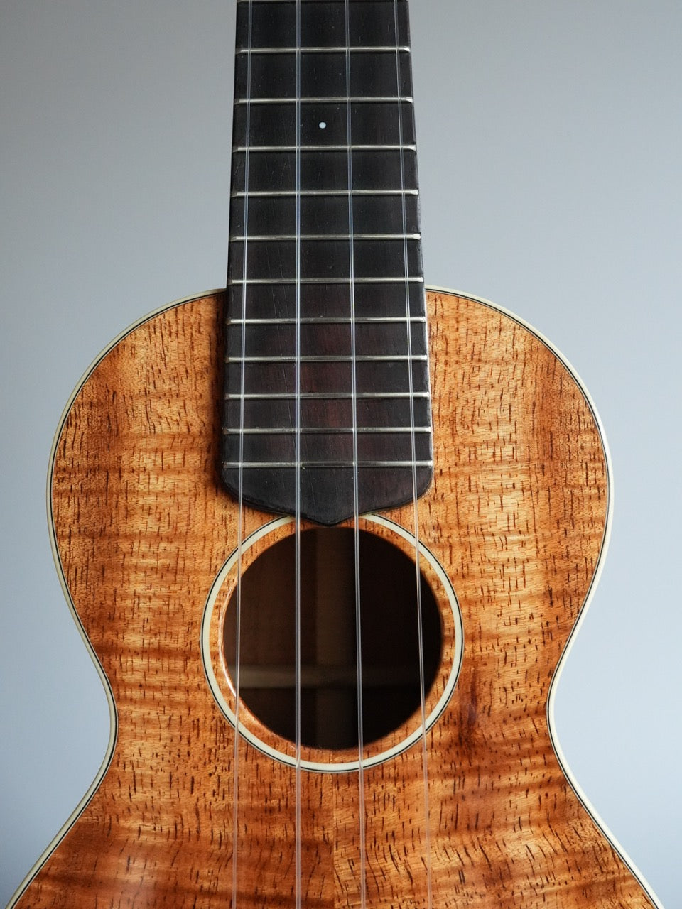 Sakata Guitars US-2K #22