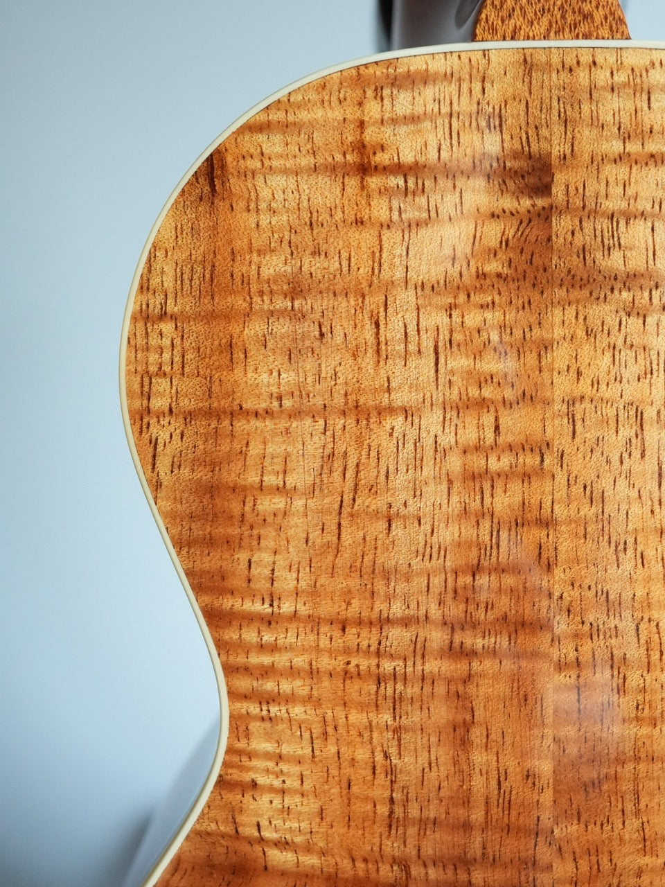 Sakata Guitars US-2K #22