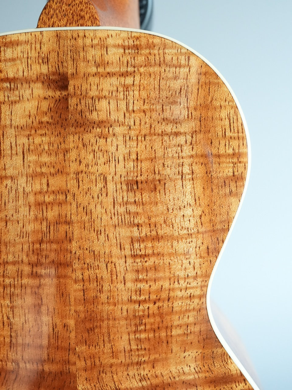 Sakata Guitars US-2K #22