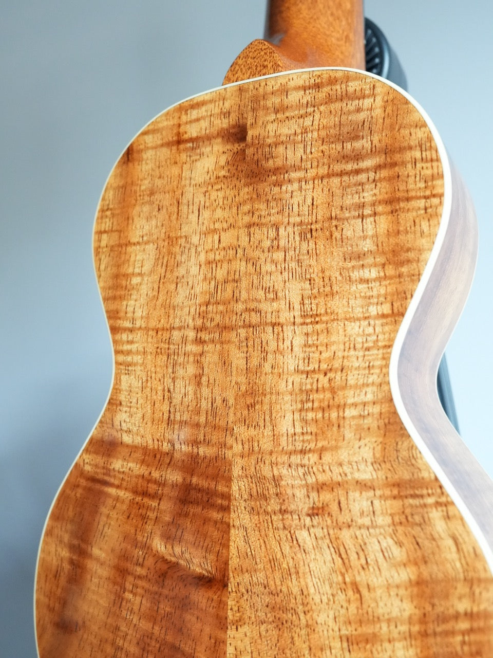 Sakata Guitars US-2K #22
