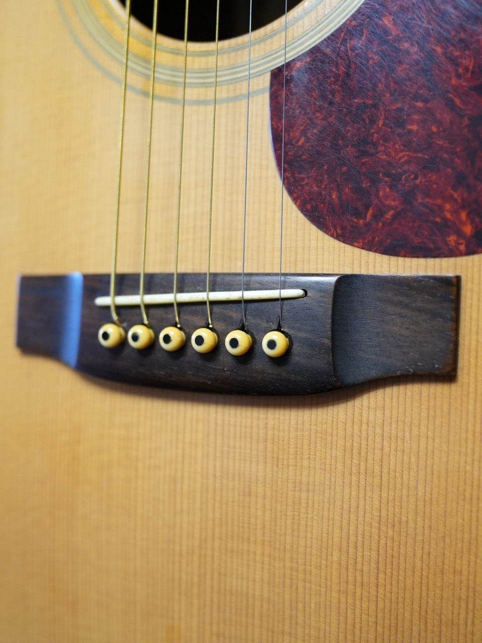 ASTURIAS アストリアス ECL-1 1999年製