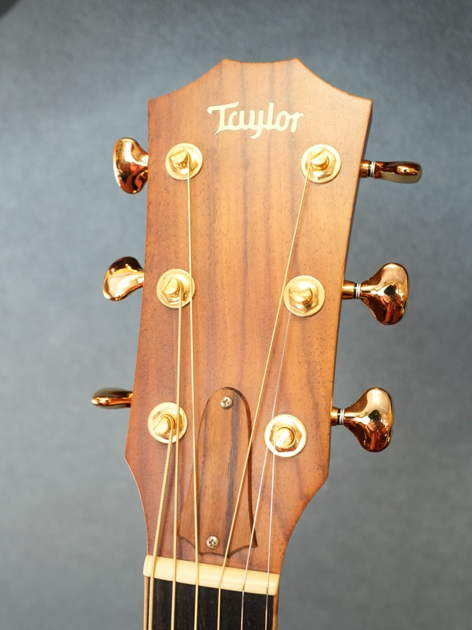 Taylor 416CE-LTD BLACKWOOD 2009年製