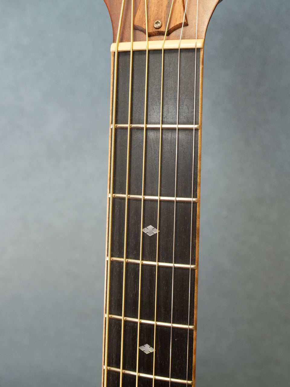 Taylor 416CE-LTD BLACKWOOD 2009年製