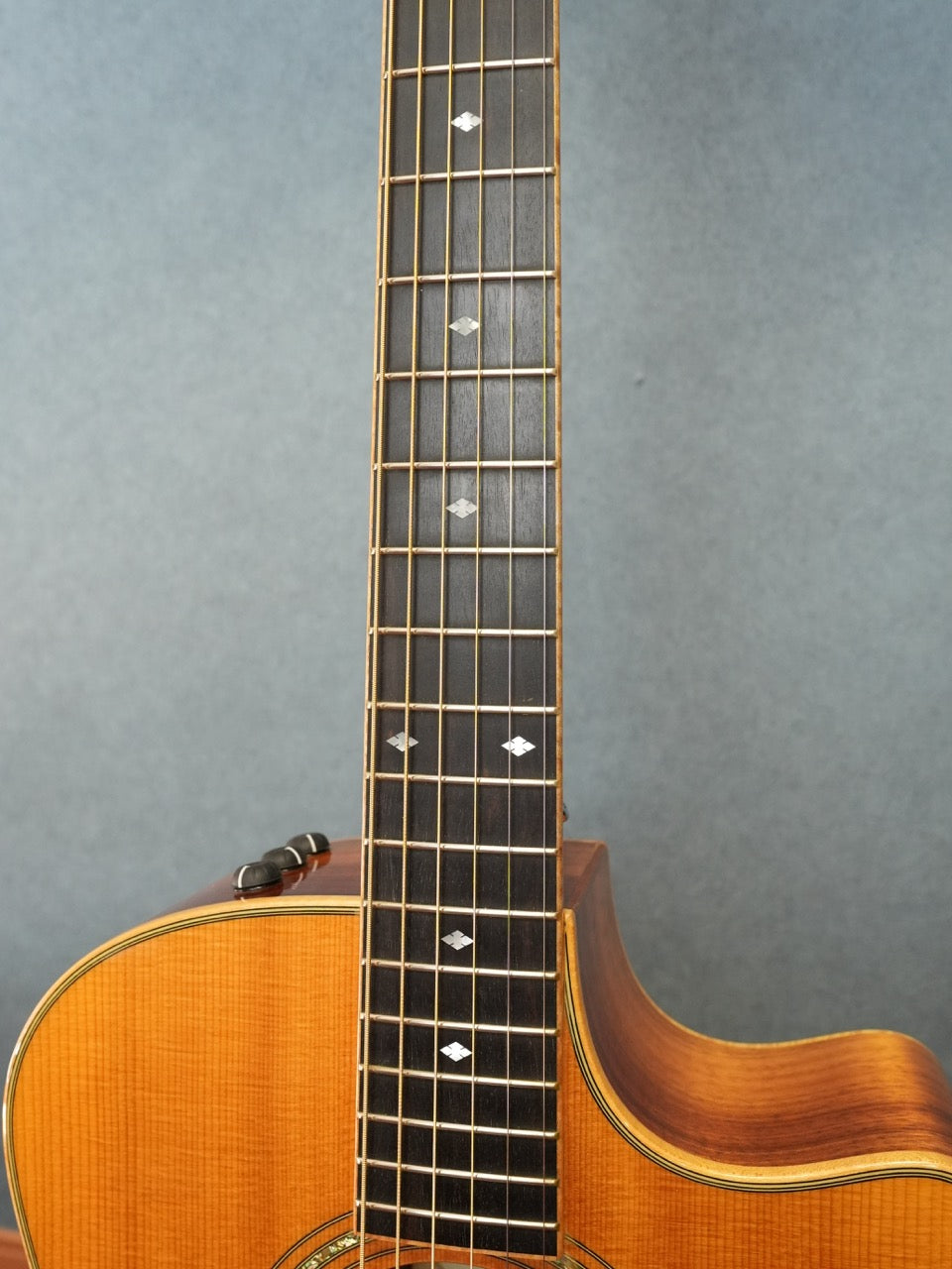 Taylor 416CE-LTD BLACKWOOD 2009年製