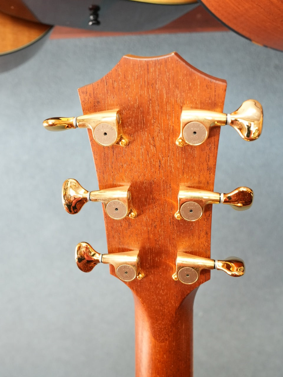 Taylor 416CE-LTD BLACKWOOD 2009年製