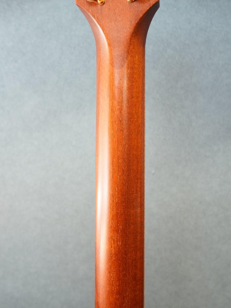Taylor 416CE-LTD BLACKWOOD 2009年製