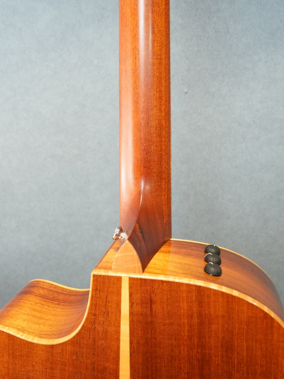 Taylor 416CE-LTD BLACKWOOD 2009年製