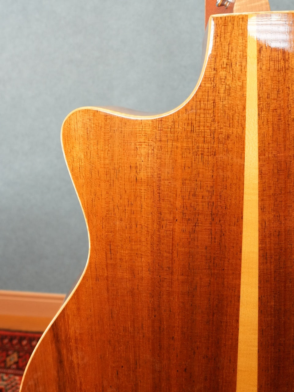 Taylor 416CE-LTD BLACKWOOD 2009年製