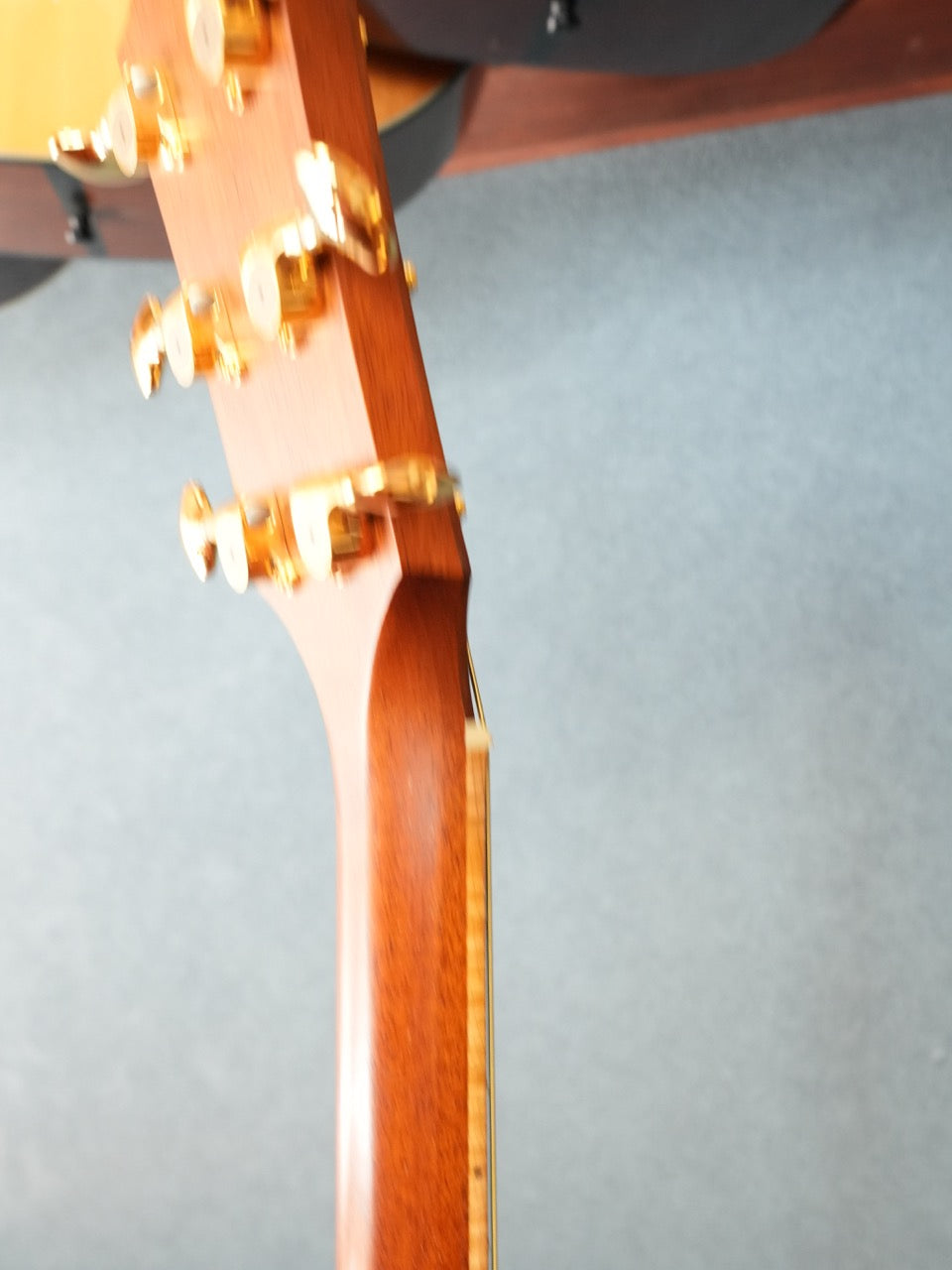 Taylor 416CE-LTD BLACKWOOD 2009年製