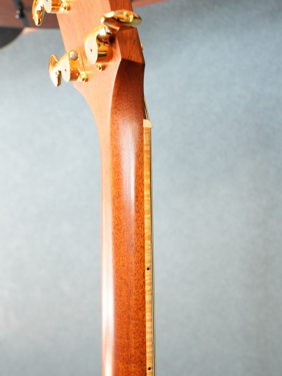 Taylor 416CE-LTD BLACKWOOD 2009年製