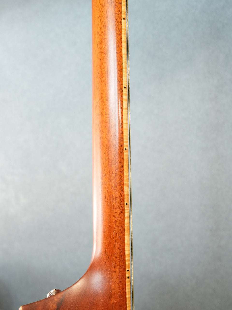Taylor 416CE-LTD BLACKWOOD 2009年製