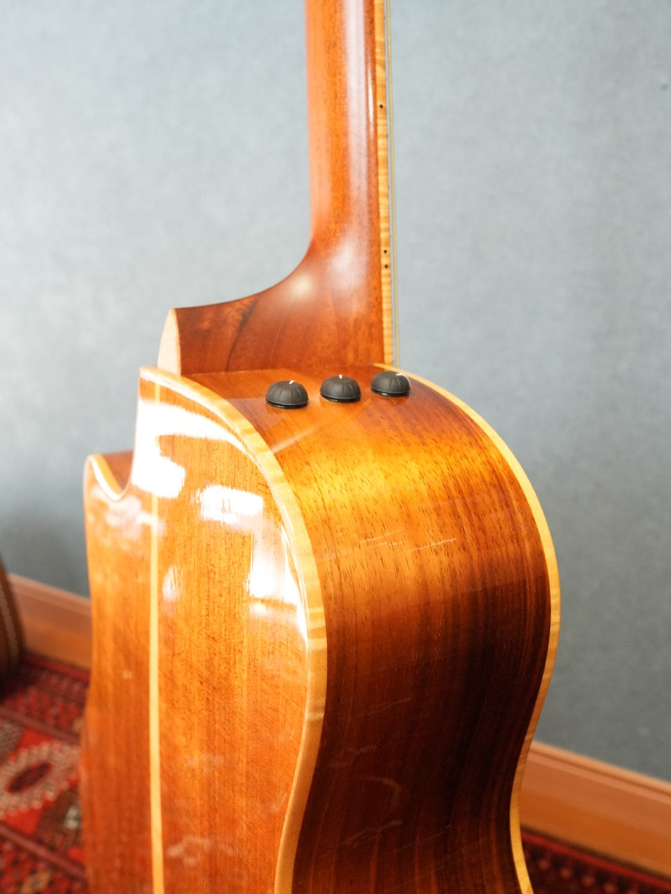 Taylor 416CE-LTD BLACKWOOD 2009年製