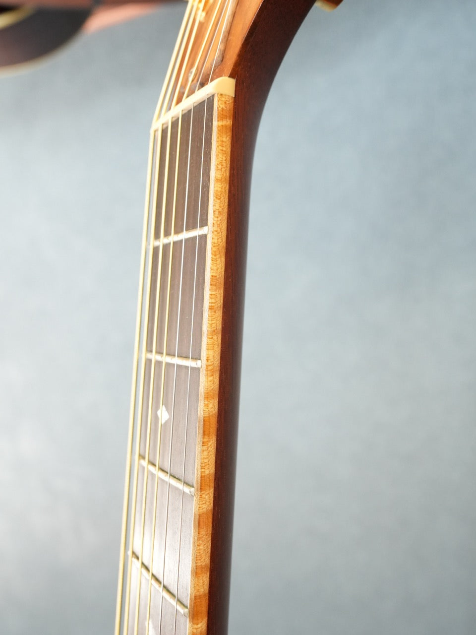 Taylor 416CE-LTD BLACKWOOD 2009年製