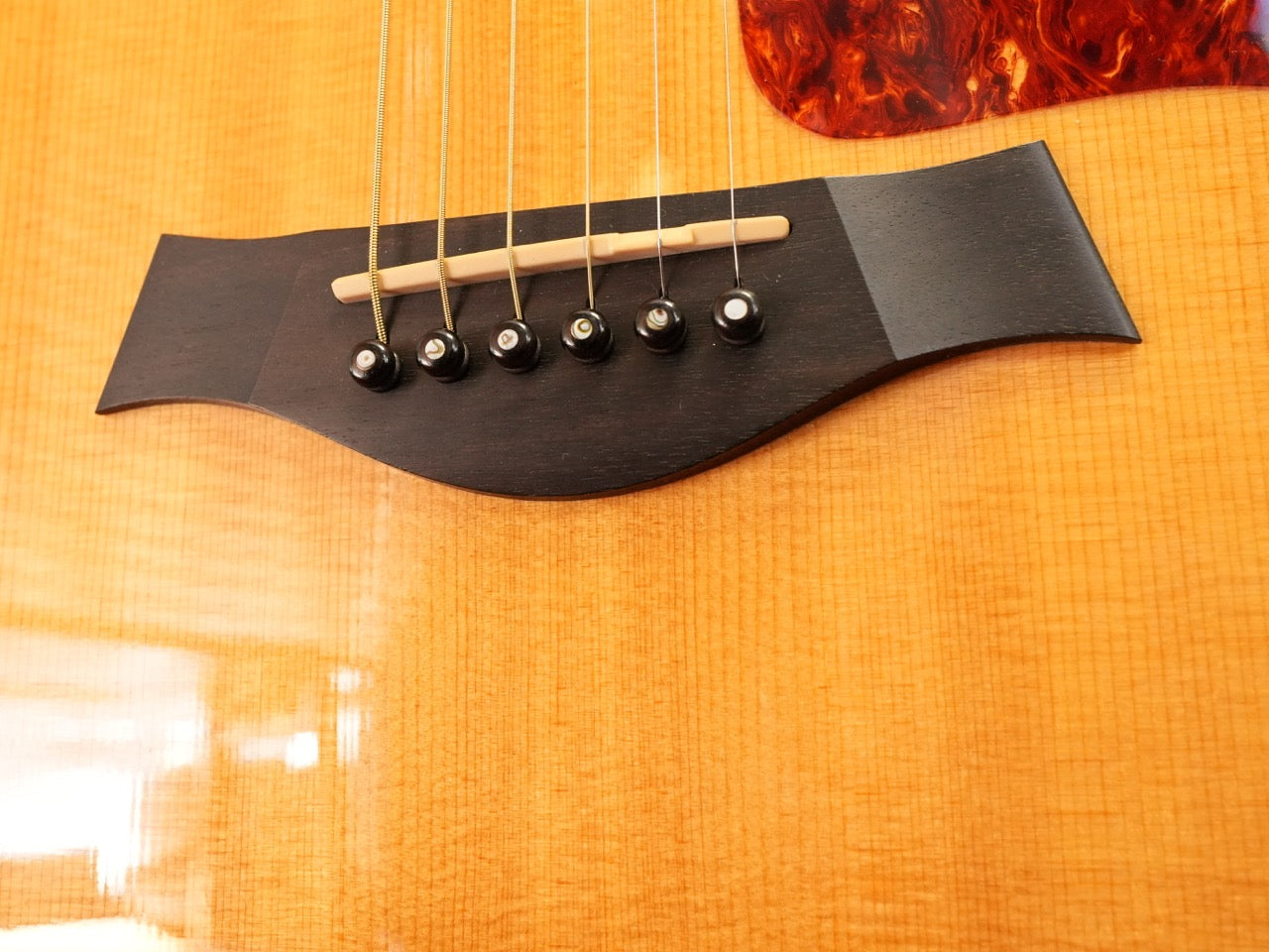 Taylor 416CE-LTD BLACKWOOD 2009年製